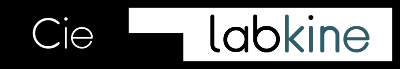Labkine Logo